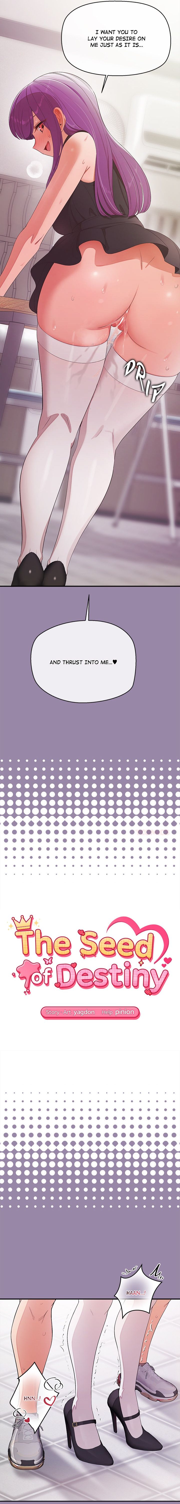 The Seed of Destiny Chapter 23 page 2
