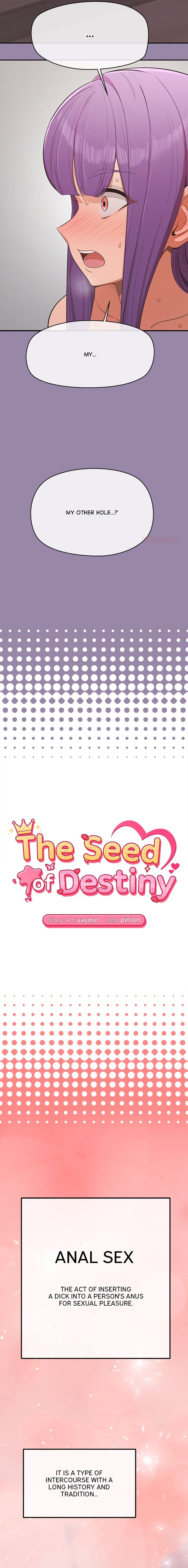 The Seed of Destiny Chapter 24 page 2