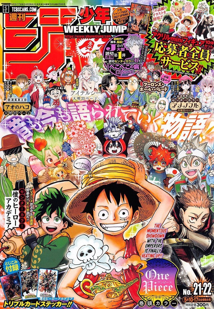 One Piece Chapter 1011 page 1