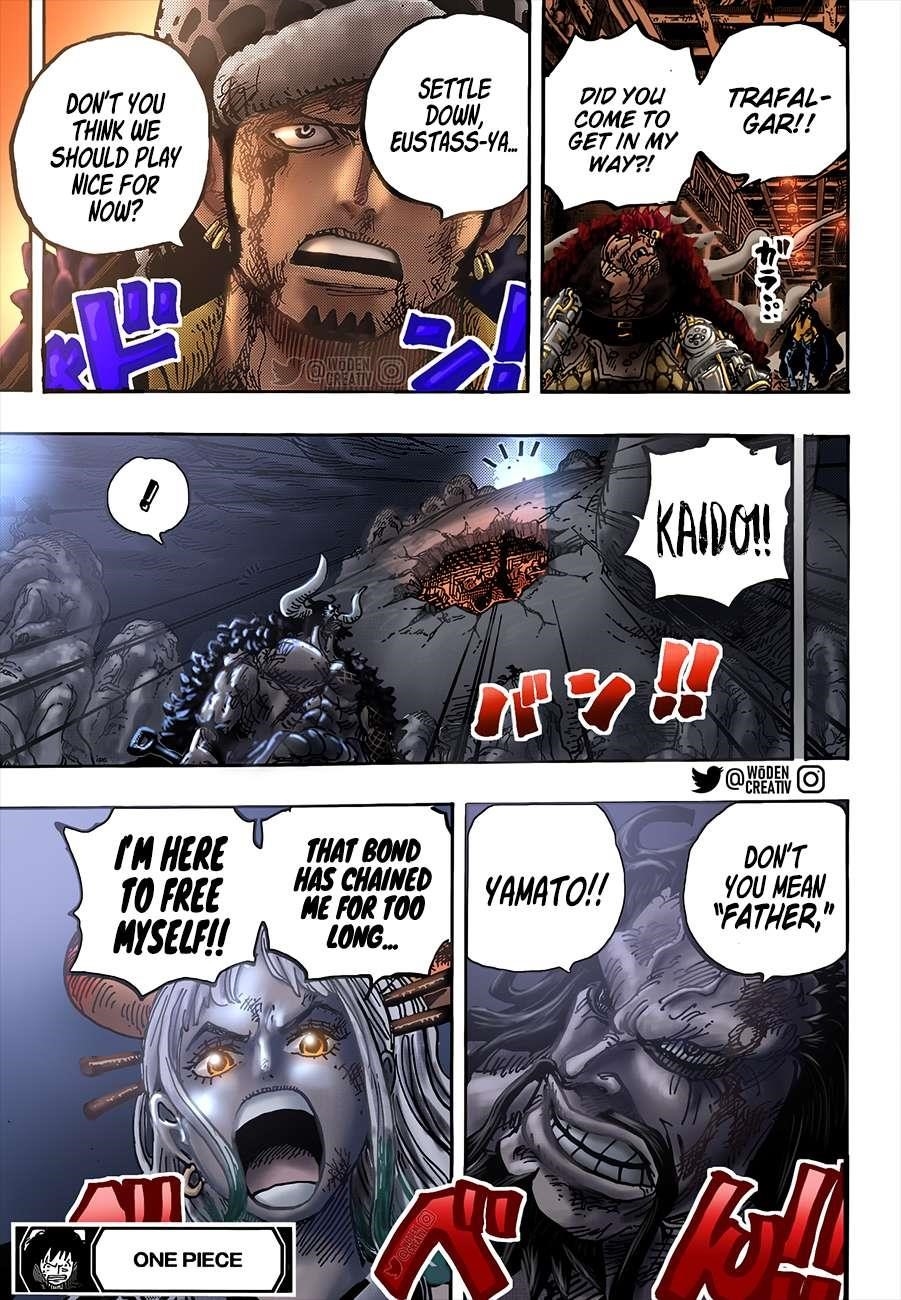 One Piece Chapter 1015 page 17