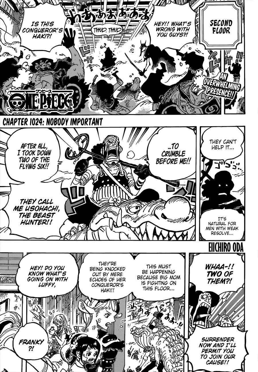 One Piece Chapter 1024 page 3