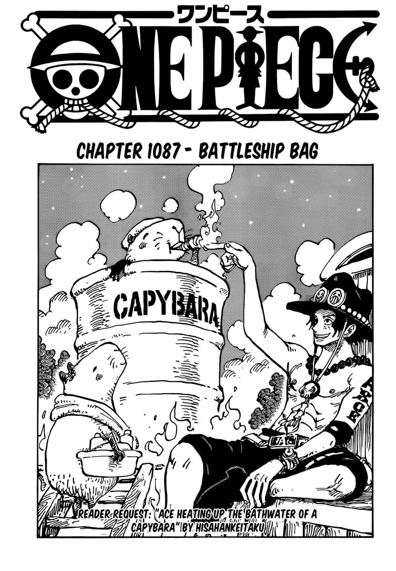 One Piece Chapter 1087 page 1
