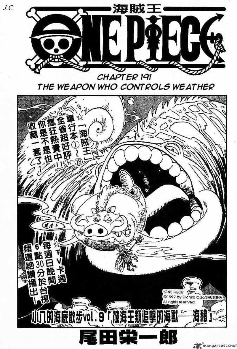 One Piece Chapter 191 page 19