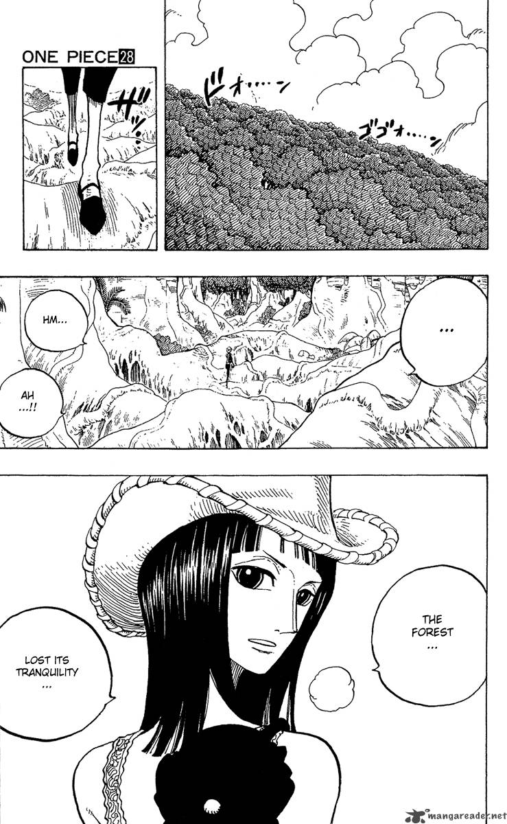 One Piece Chapter 258 page 7