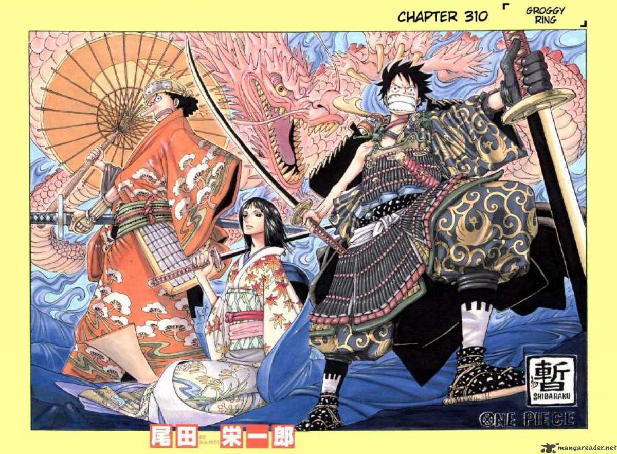 One Piece Chapter 310 page 1