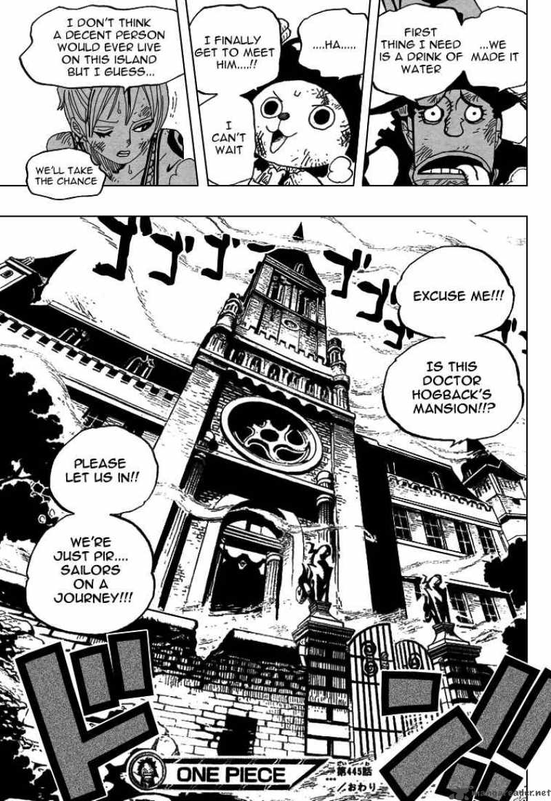 One Piece Chapter 445 page 18