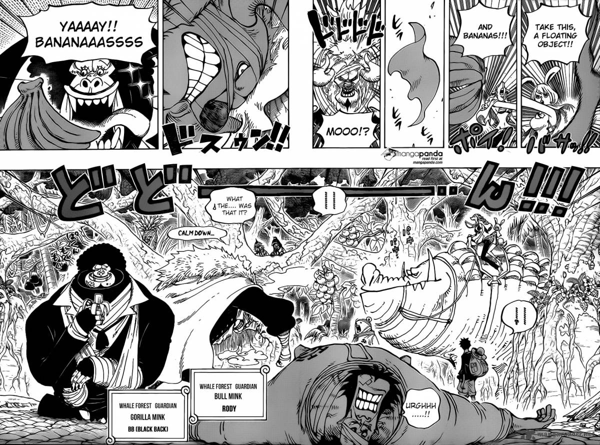 One Piece Chapter 805 page 10