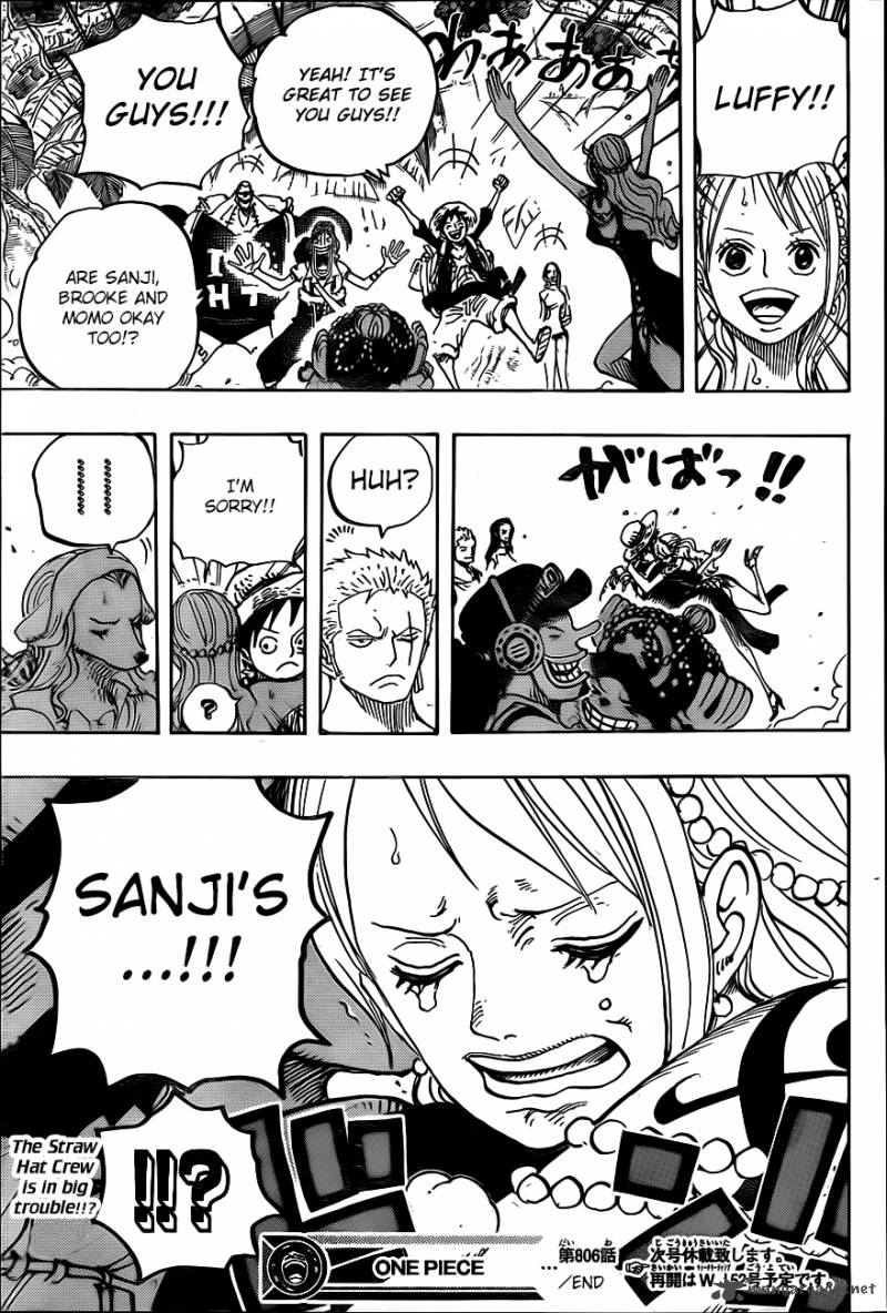 One Piece Chapter 806 page 16
