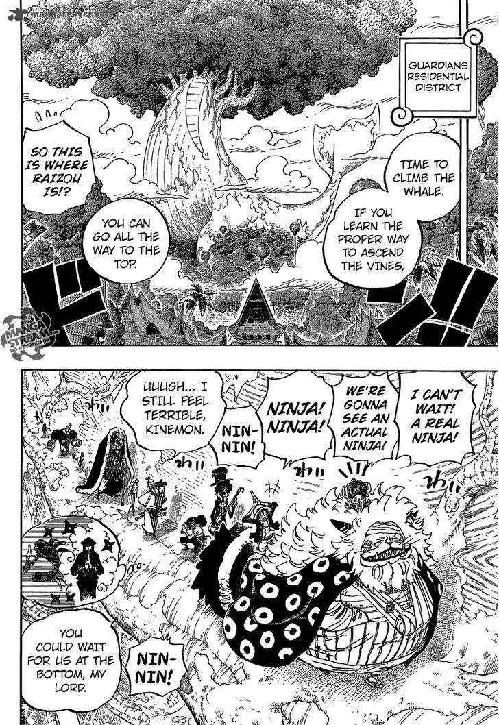 One Piece Chapter 817 page 12