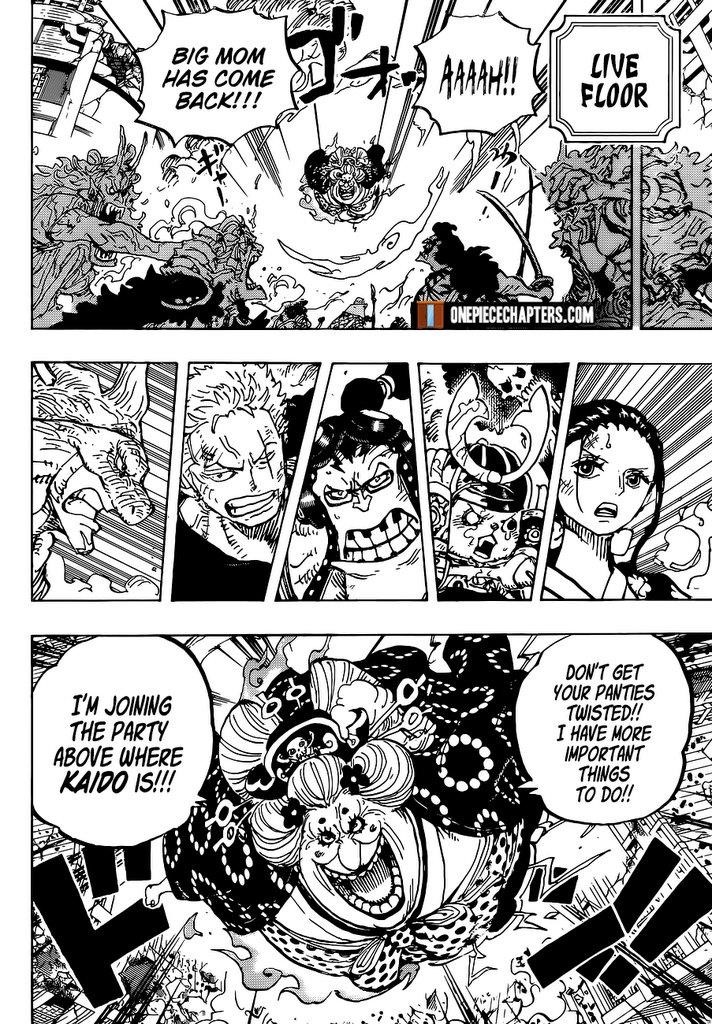 One Piece Chapter 996 page 16