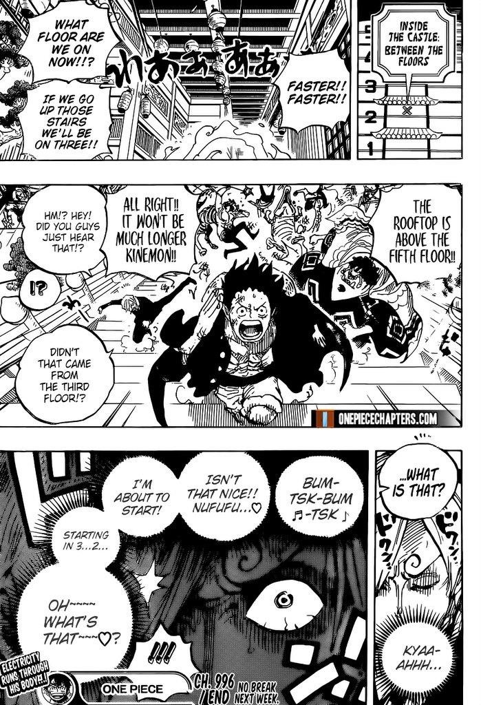 One Piece Chapter 996 page 17