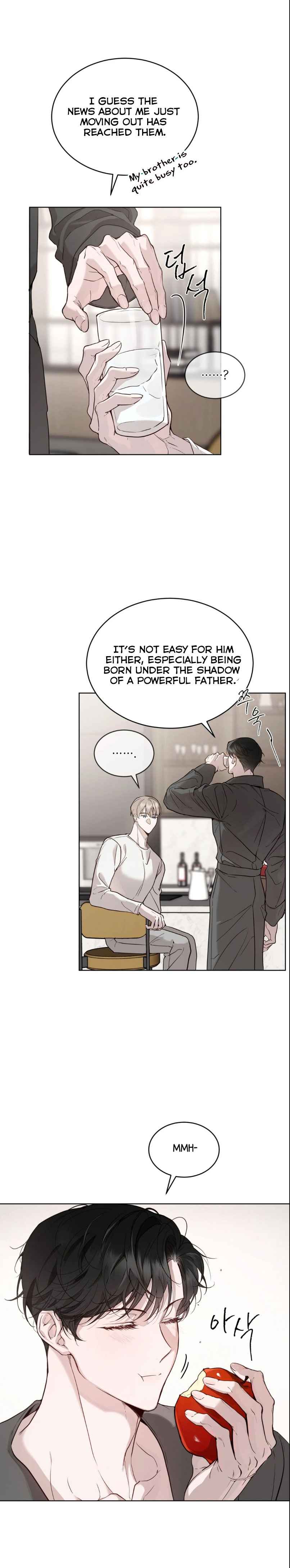Passion Raga Chapter 24.5 page 47