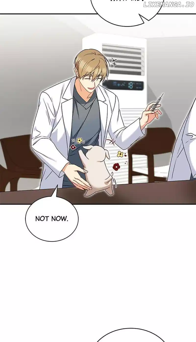 Hello! Veterinarian! Chapter 16 page 48