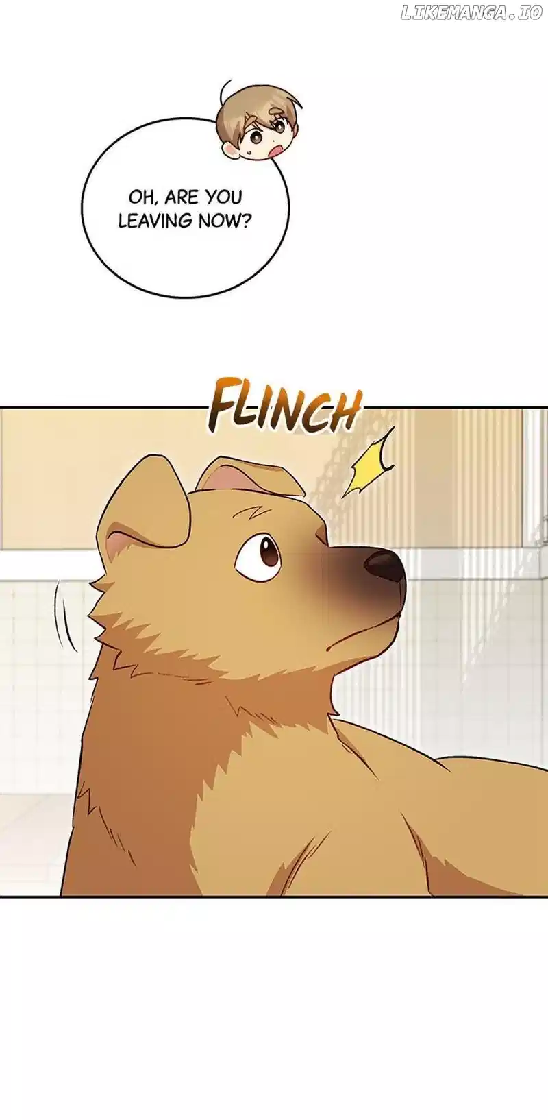 Hello! Veterinarian! Chapter 17 page 63