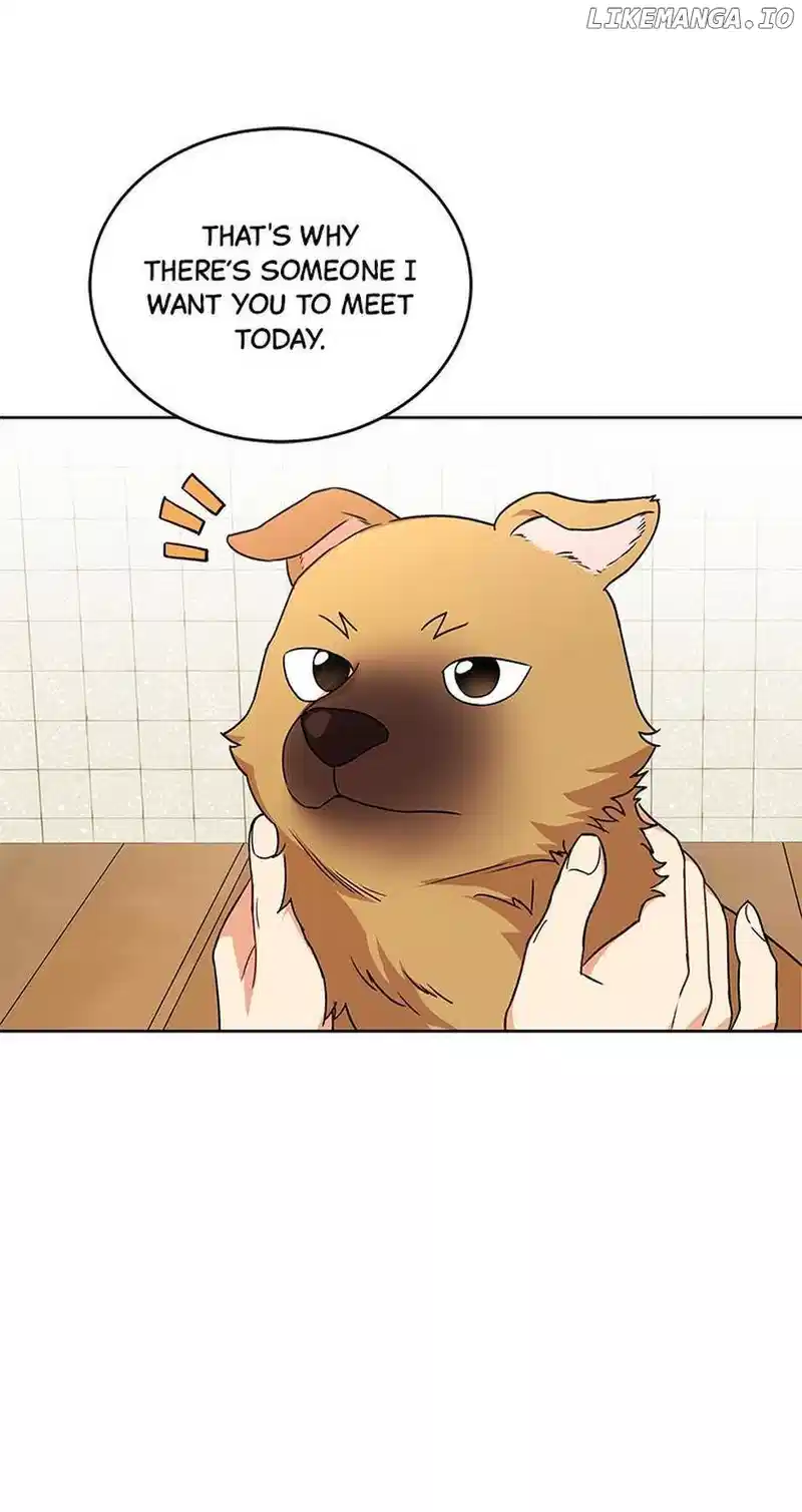 Hello! Veterinarian! Chapter 20 page 33