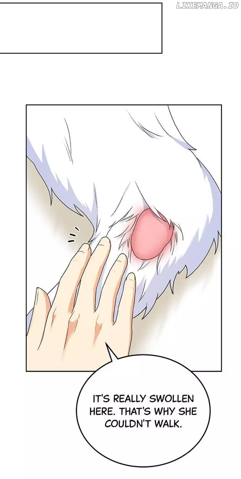 Hello! Veterinarian! Chapter 23 page 7
