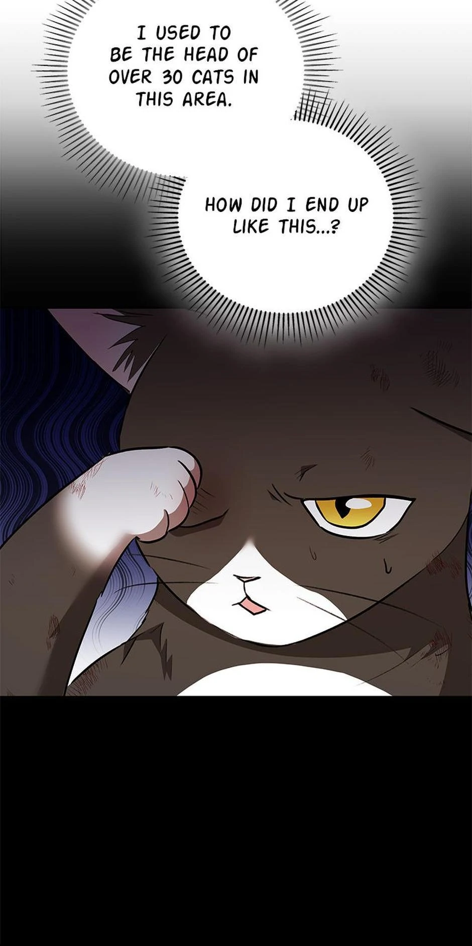 Hello! Veterinarian! Chapter 27 page 46
