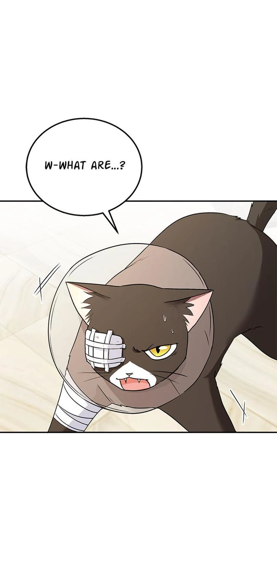 Hello! Veterinarian! Chapter 27 page 71