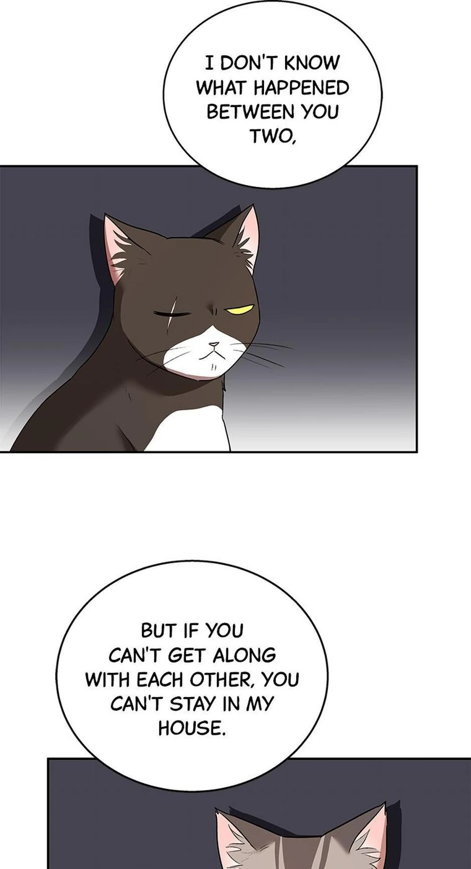 Hello! Veterinarian! Chapter 30 page 50