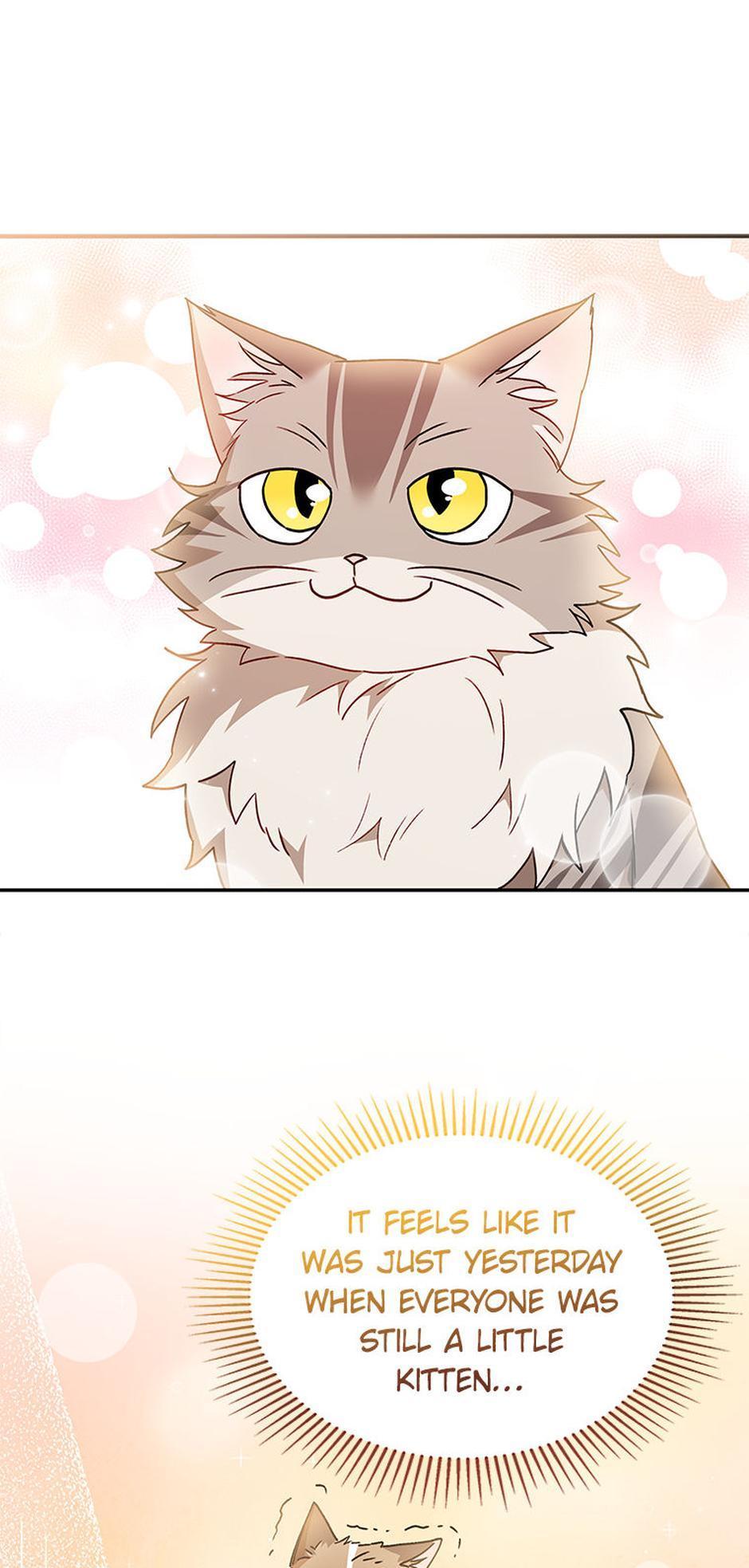 Hello! Veterinarian! Chapter 38 page 42