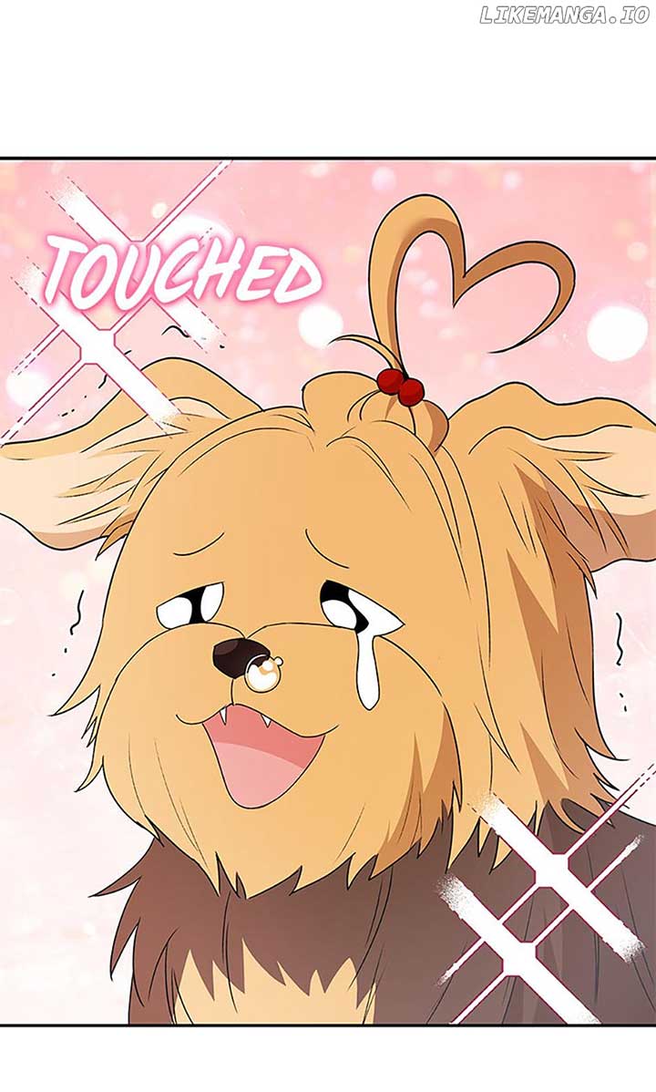 Hello! Veterinarian! Chapter 50 page 12