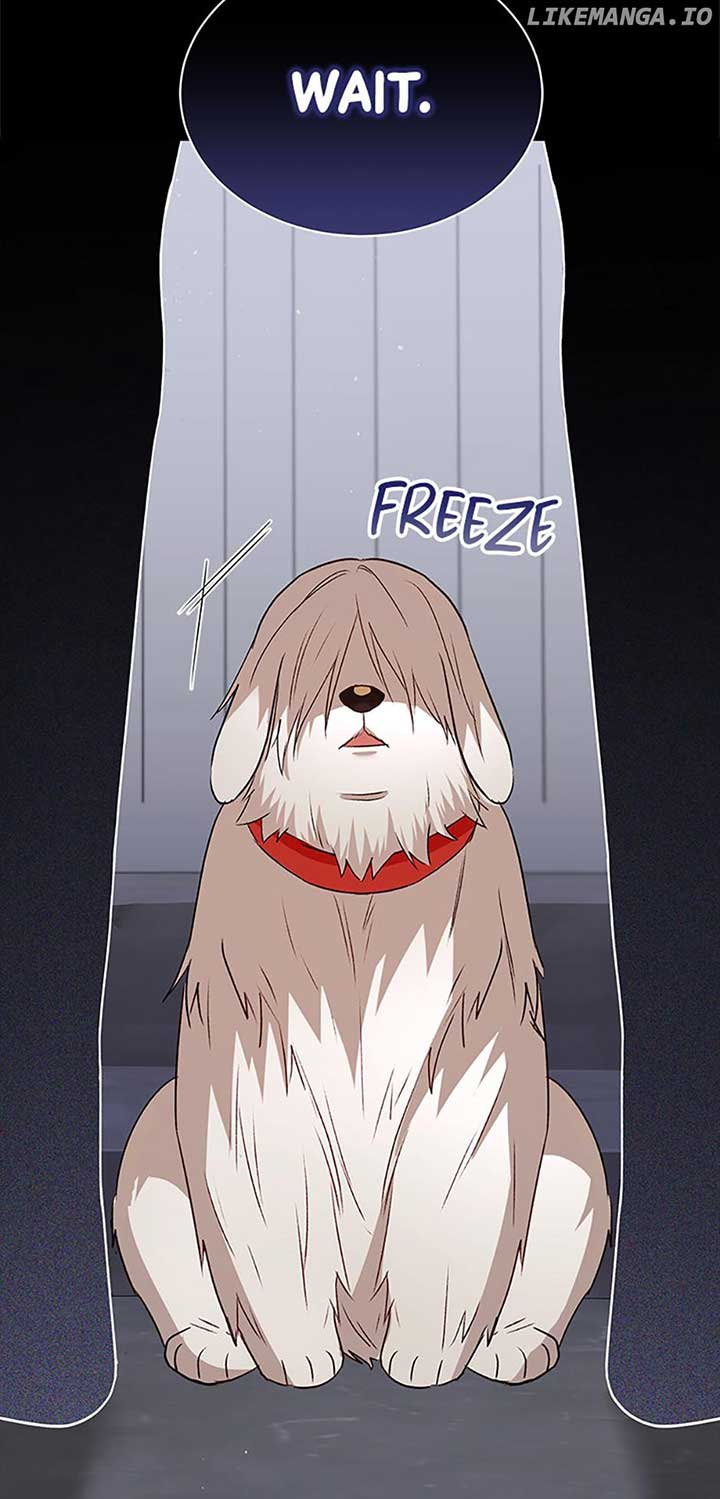 Hello! Veterinarian! Chapter 56 page 11