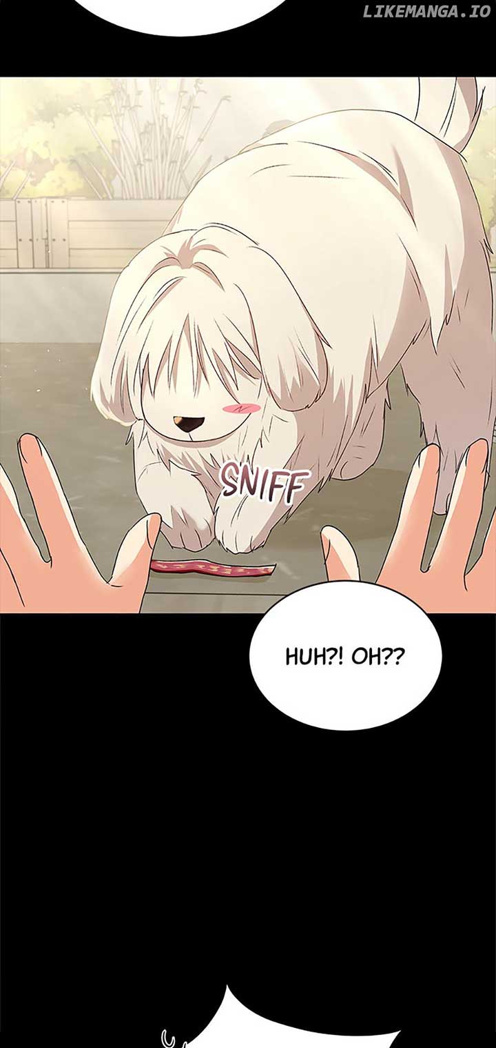 Hello! Veterinarian! Chapter 56 page 3