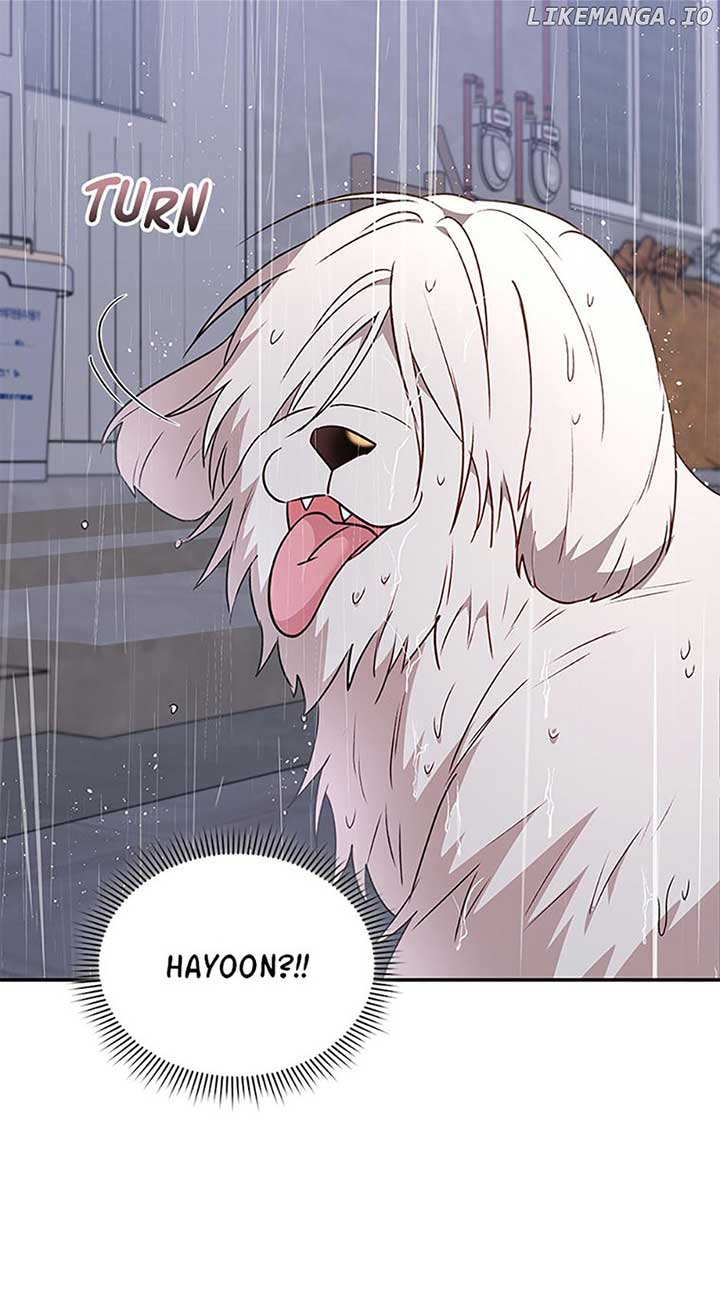 Hello! Veterinarian! Chapter 57 page 57