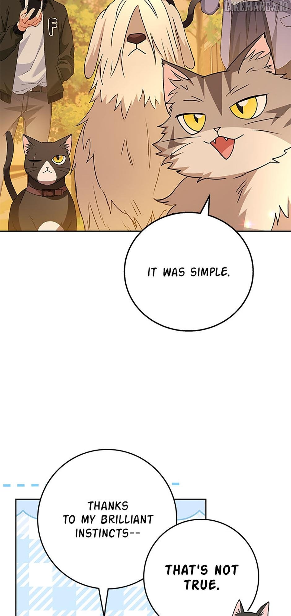 Hello! Veterinarian! Chapter 78 page 4