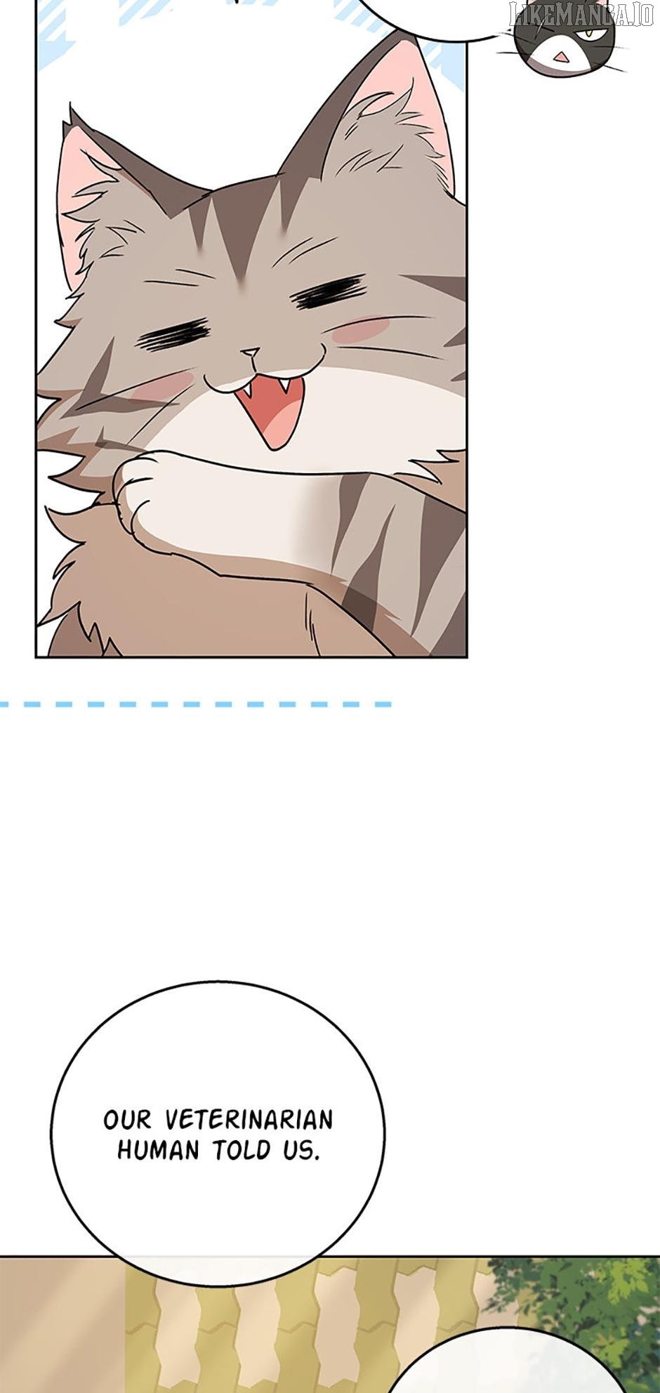 Hello! Veterinarian! Chapter 78 page 5