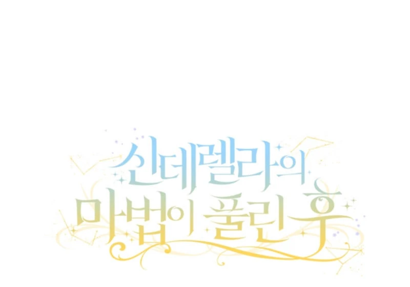 When Cinderella’s Magic Fades Away Chapter 70 page 48
