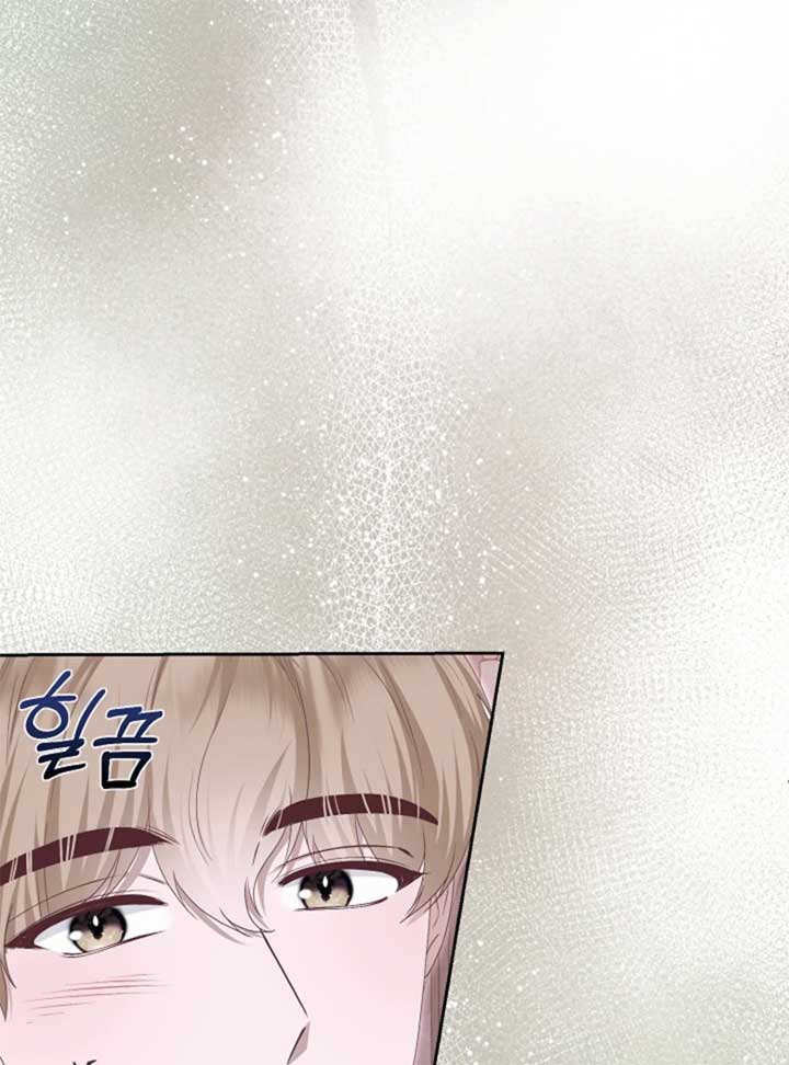 When Cinderella’s Magic Fades Away Chapter 71 page 27