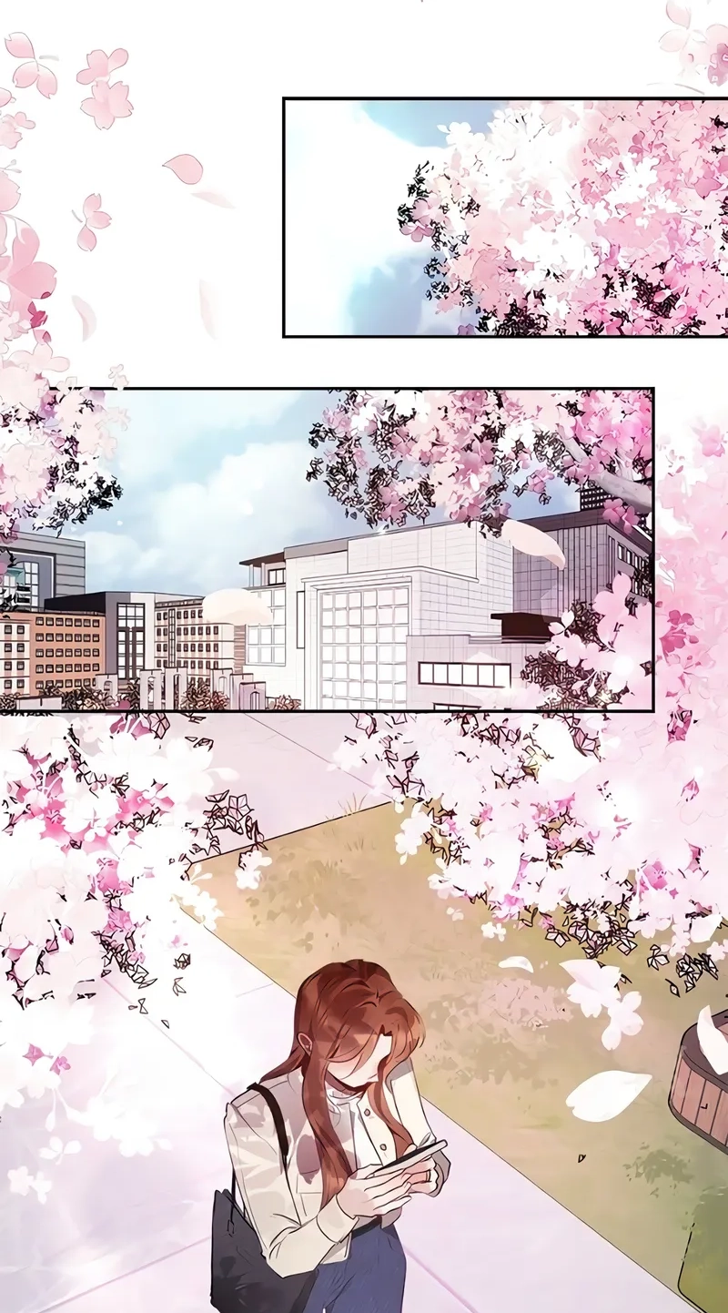 Our Secret Marriage Chapter 49 page 2