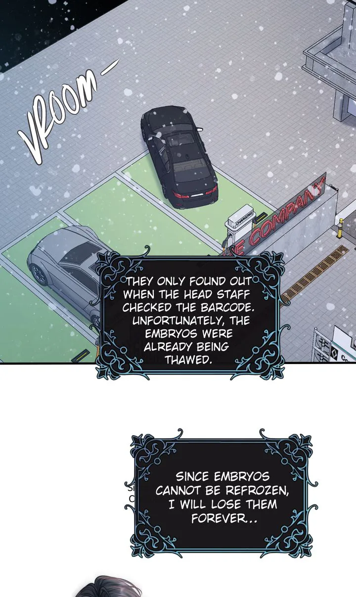 The Billionaire’s Replacement Wife Chapter 24 page 60
