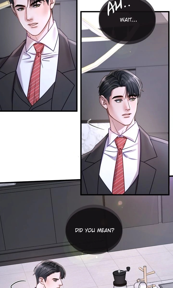 The Billionaire’s Replacement Wife Chapter 26 page 13