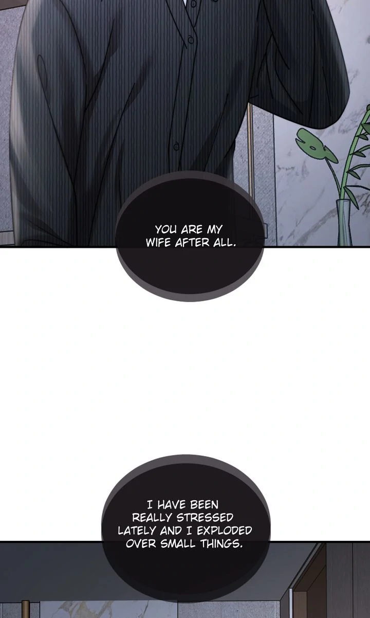 The Billionaire’s Replacement Wife Chapter 40 page 15