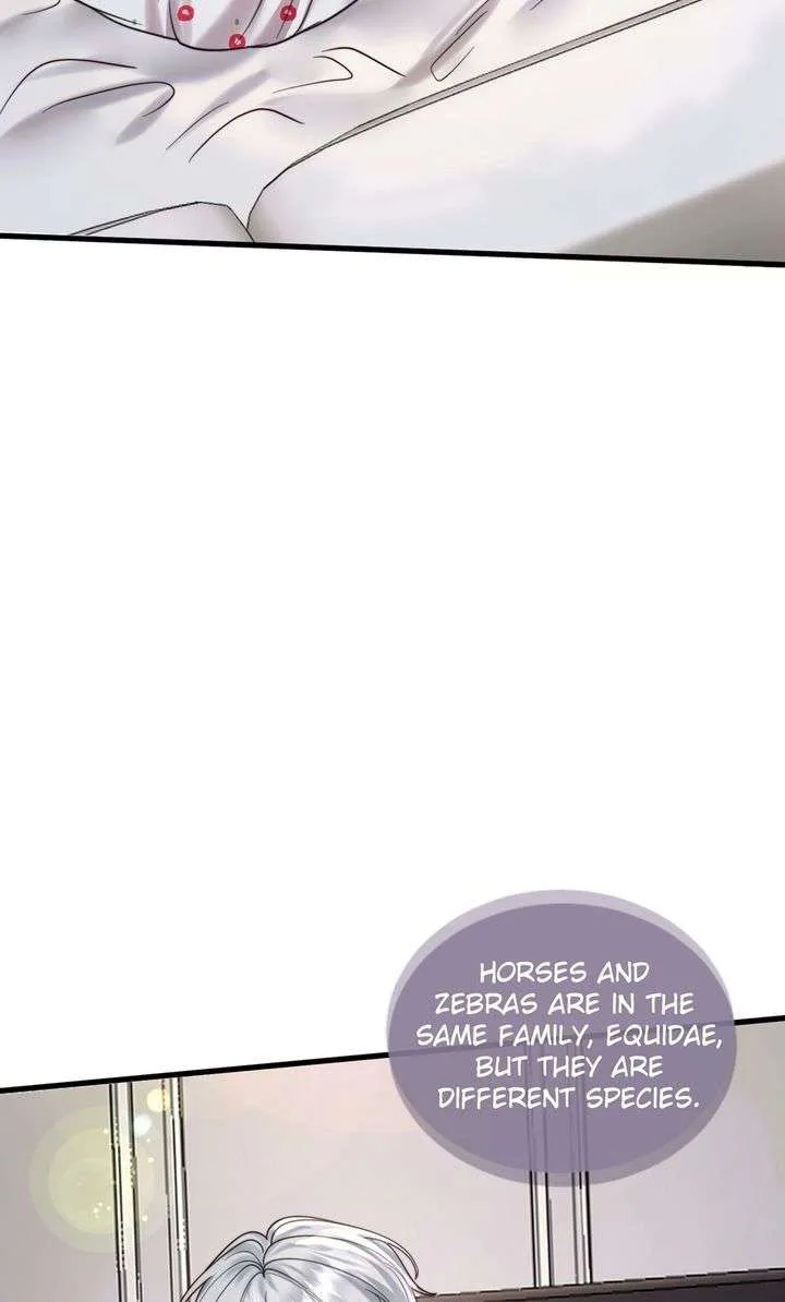 The Billionaire’s Replacement Wife Chapter 71 page 2